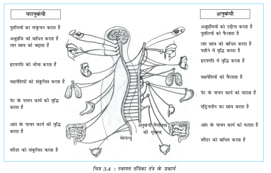 Screenshot from 2019-06-08 19-16-26